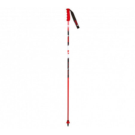 Bastones de esquí Vola GS CARBON GEANT junior