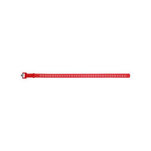 Ski strap Black Diamond SKI STRAP 25 IN hyper red