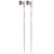 Leki PASSION Smoke Green / White / Dark Anthracite Nordic walking poles