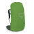 Osprey Kestrel 68 Backpack Bonsai Green