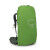 Osprey Kestrel 38 Backpack Bonsai Green