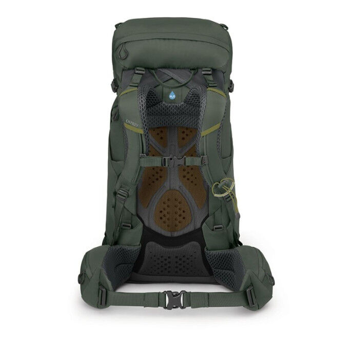 Osprey Kestrel 38 Backpack Bonsai Green