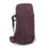SAMBUCO VIOLA