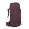 ELDERBERRY PURPLE