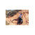Backpack Gregory Baltoro 100 PRO LG Alaska Blue