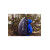 Backpack Gregory Baltoro 100 PRO LG Alaska Blue