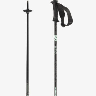 Salomon Shiva ski poles Black