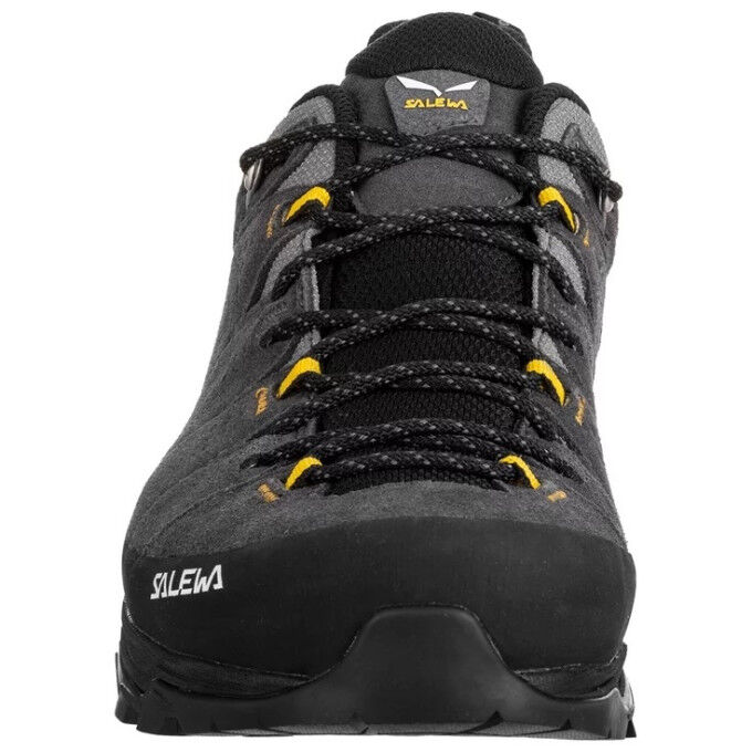 ALP TRAINER 2 GTX M ALP TRAINER 2 GTX M