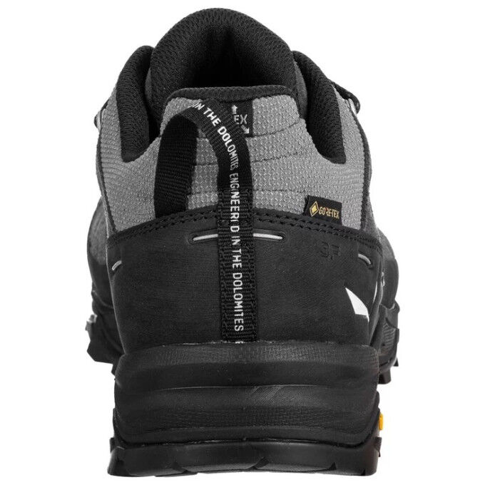 ALP TRAINER 2 GTX M ALP TRAINER 2 GTX M