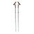 Bâtons de trekking Black Diamond PURSUIT