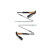Bâtons de randonnée Black Diamond PURSUIT SHOCK Vert