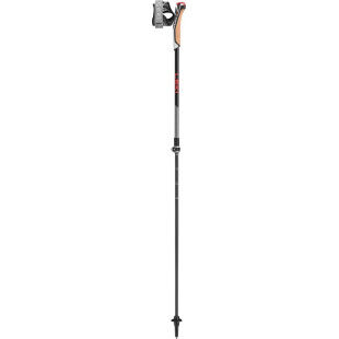 Nordic walking poles Leki INSTRUCTOR LITE Dark Anthracite / Silver Gray / Bright Red