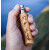 Opinel n°8 pocket knife, rando engraving