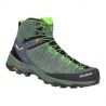 GREEN/PALE FROG