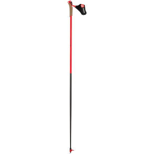 (no visual)Rossignol FORCE 10 ski poles