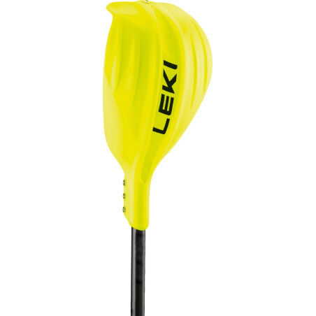 GATE GUARD CLOSED COBRA