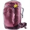 Maron / Aubergine