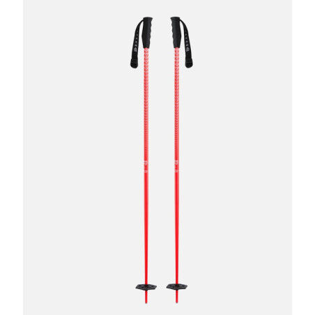 META POLES