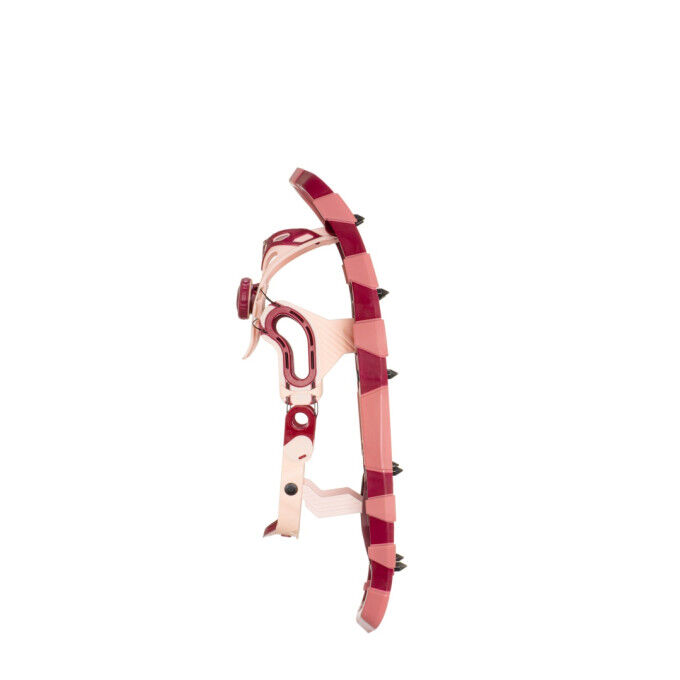 TSL SMART snowshoes