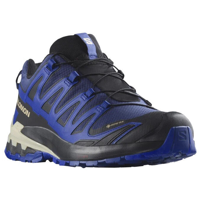 Zapatillas de trail running Salomon XA PRO 3D V9 GTX para hombre