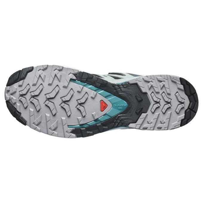 Salomon XA PRO 3D V9 GTX W trail running shoe