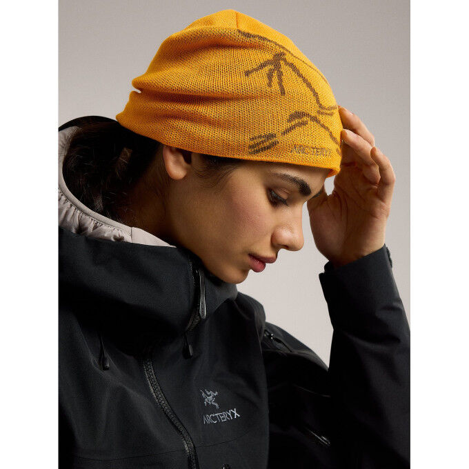 Arc'teryx Gorro BIRD HEAD Edziza/Relic