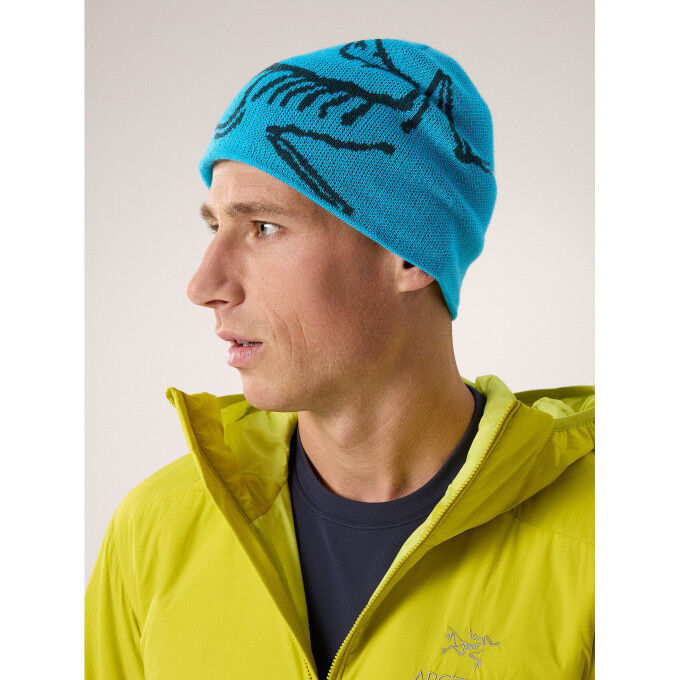 Arc'teryx BIRD HEAD Mütze Blue Tetra/Pytheas