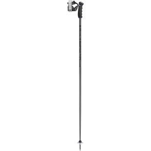 Bâtons de ski Leki DETECT S Dark anthracite/ Black