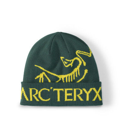 Arc'teryx BIRD WORD Pytheas/Lampyre Beanie