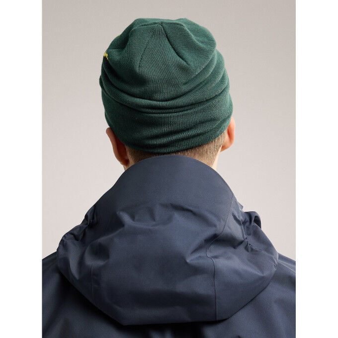 Gorro Arc'teryx BIRD WORD Pytheas/Lampyre