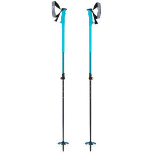 Zag bastones de esquí NORTH POLES VARIO Azul