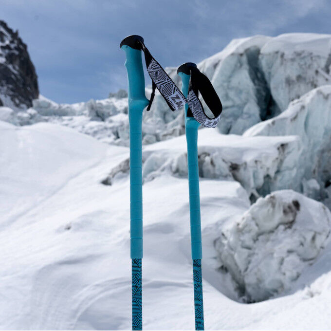 NORTH POLES VARIO