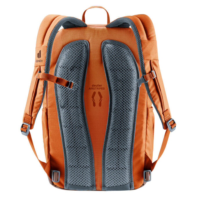 Unisex backpack Deuter GOGO 25L Chestnut-umbra