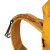 FIRECREST 28L