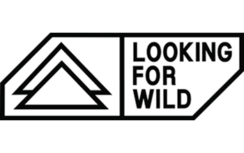 LOOKING FOR WILD