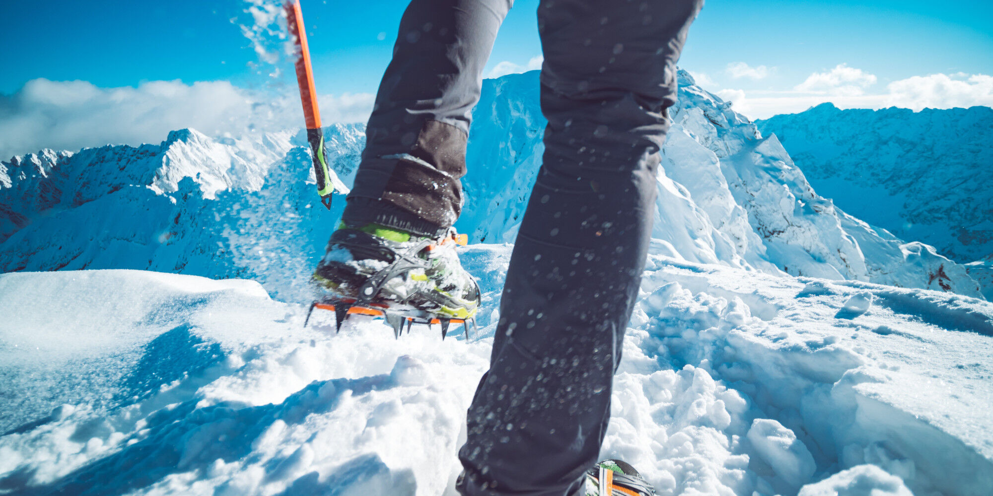 AdobeStock_253129065
				        