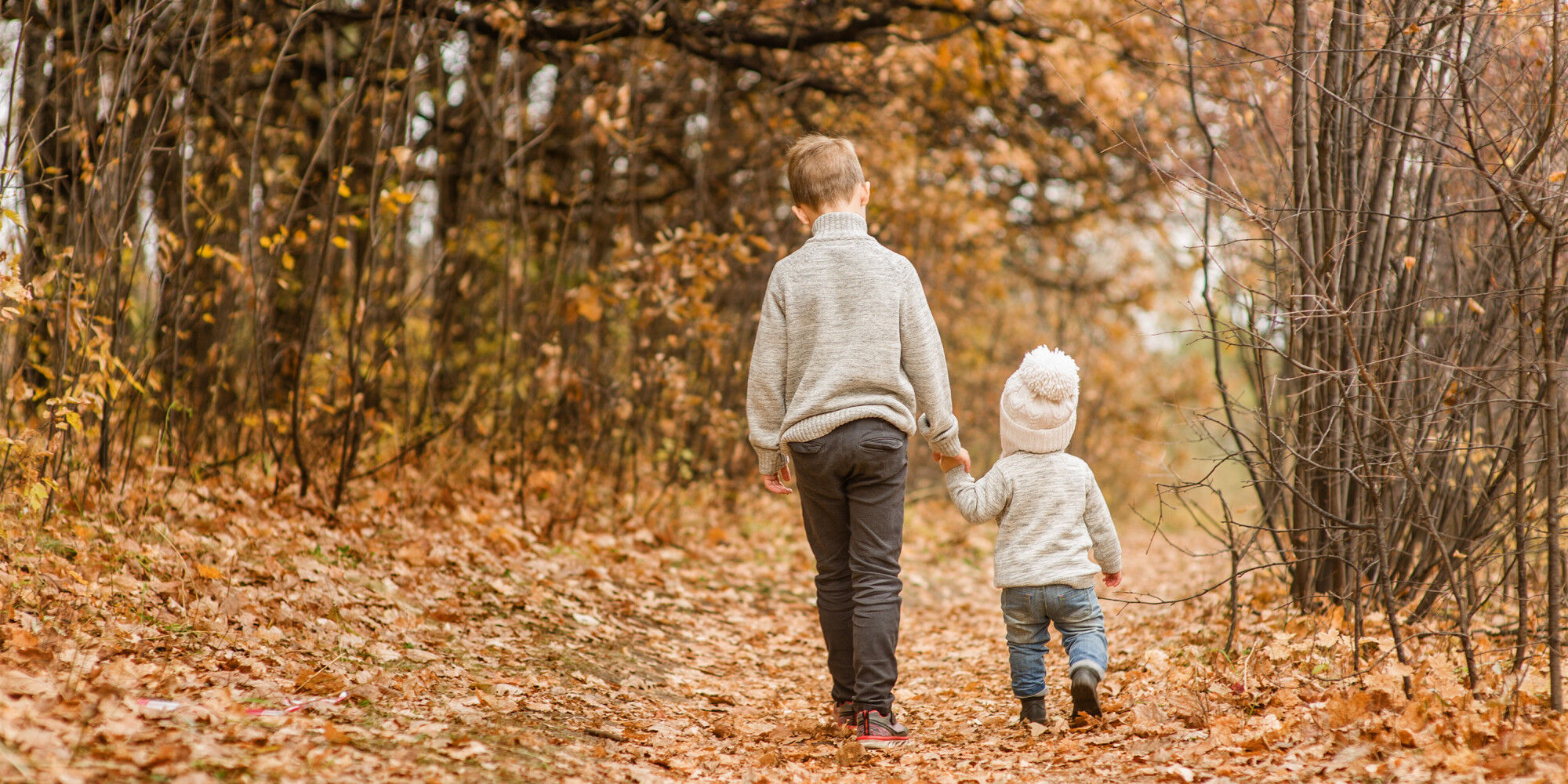 deux enfants qui font de la randonnée en forêt en automne
				        