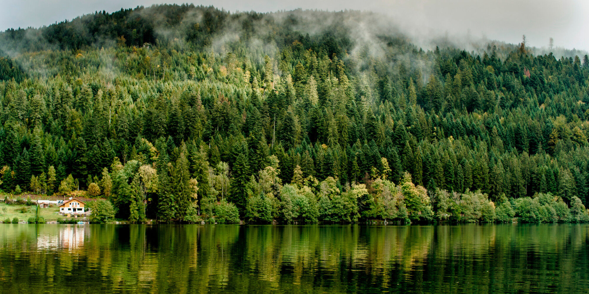 AdobeStock_321461436
				        