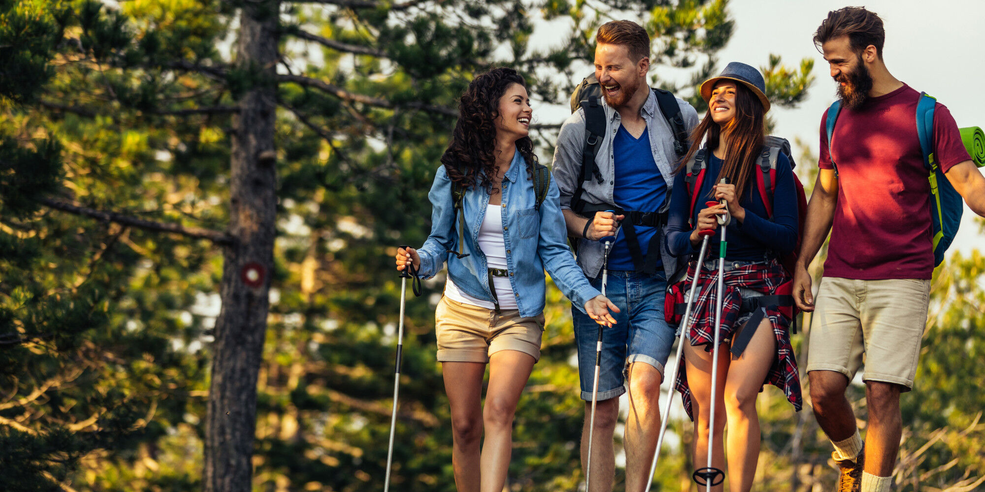 three hikers with hiking poles and rucksacks
				        