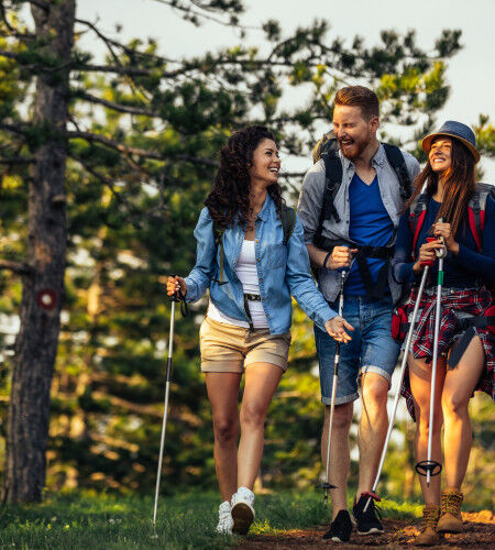 three hikers with hiking poles and rucksacks
			                        