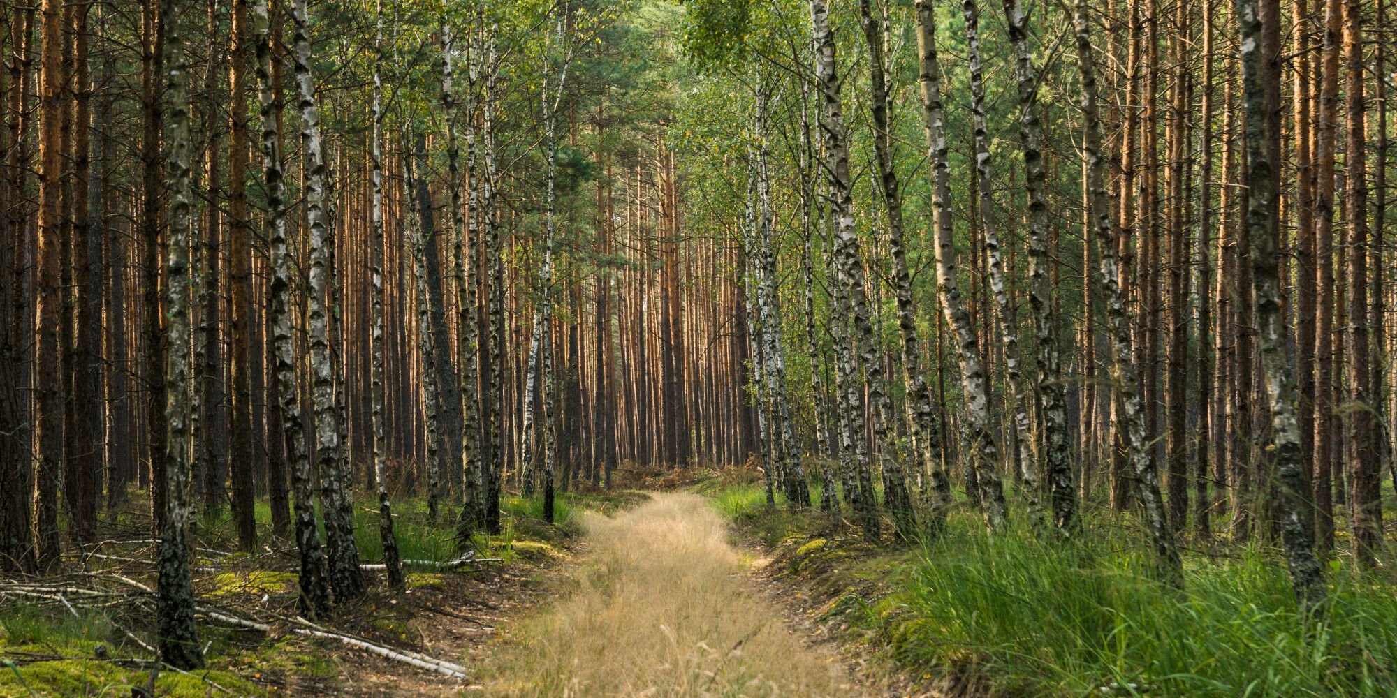 AdobeStock_225276550
				        