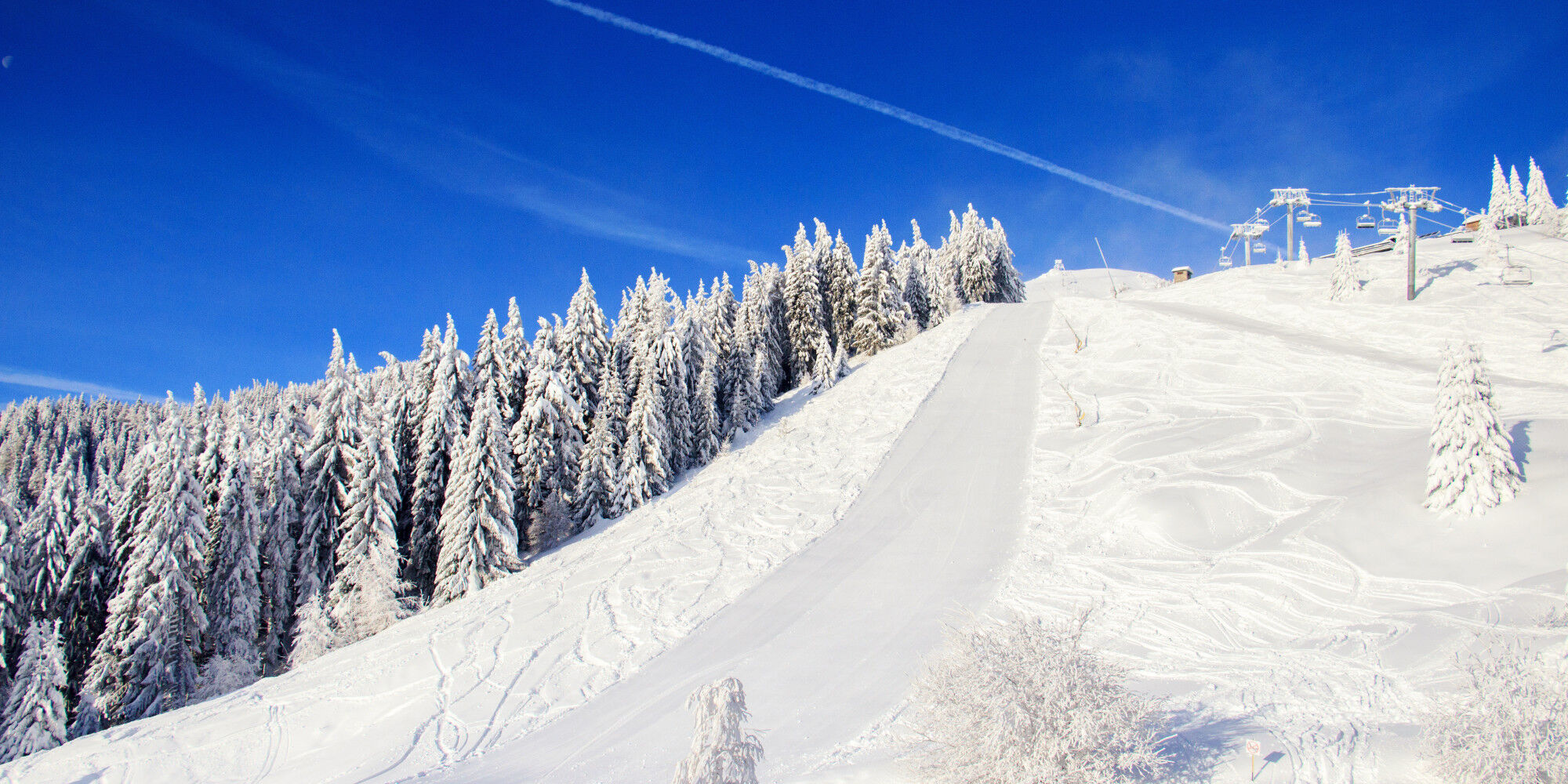 photo of a track in the forest with a cable car
				        