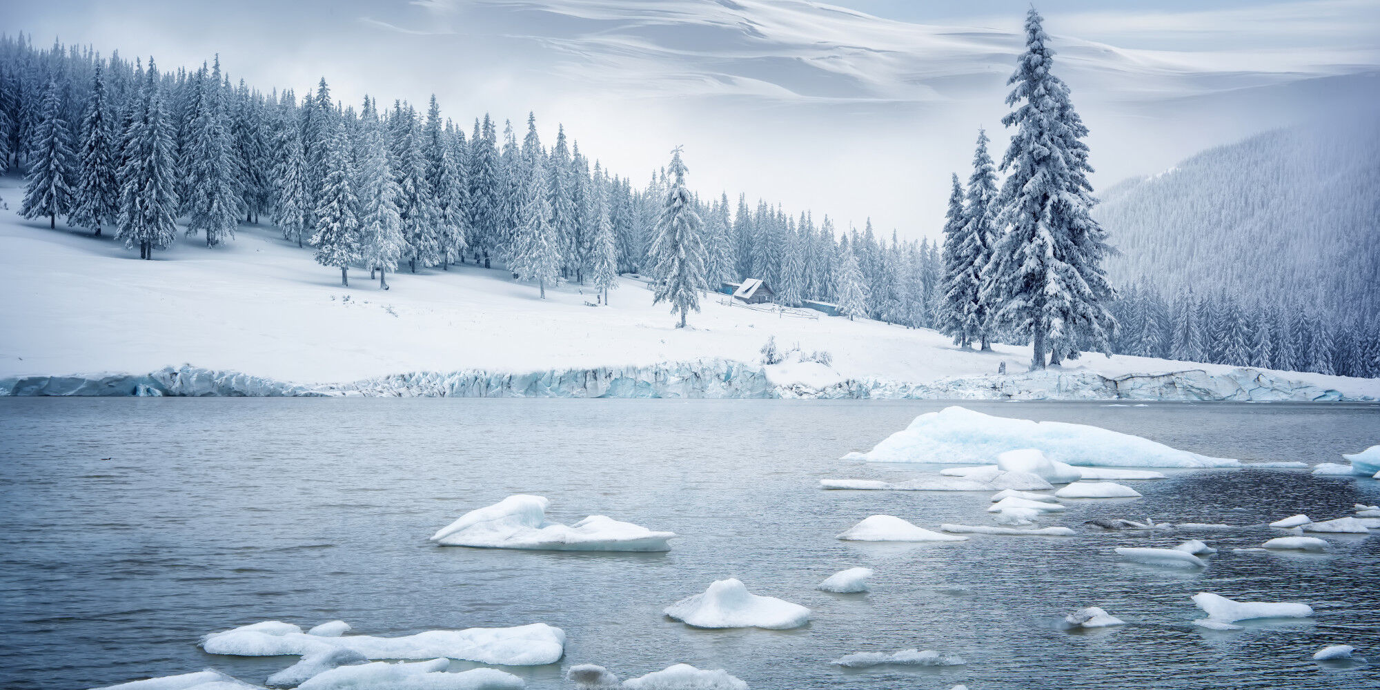 forêt enneigée avec rivière
				        