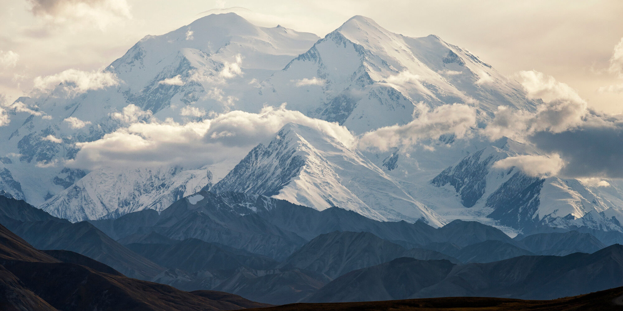 AdobeStock_192776548
				        