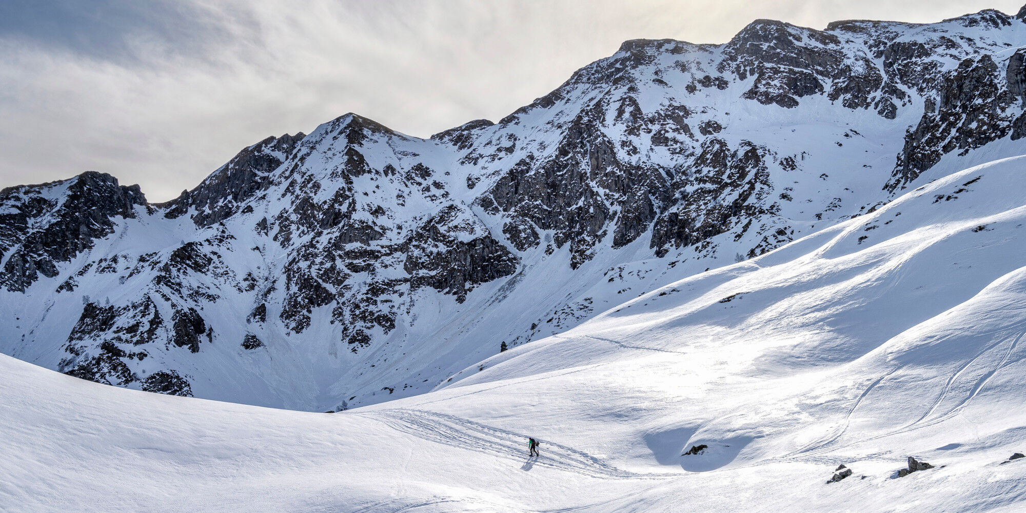 snowy landscape with a person taking a walk
				        