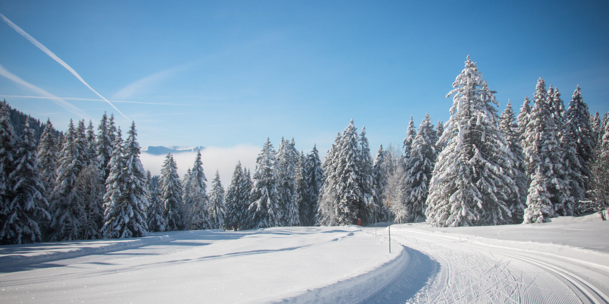 AdobeStock_473182252
				        