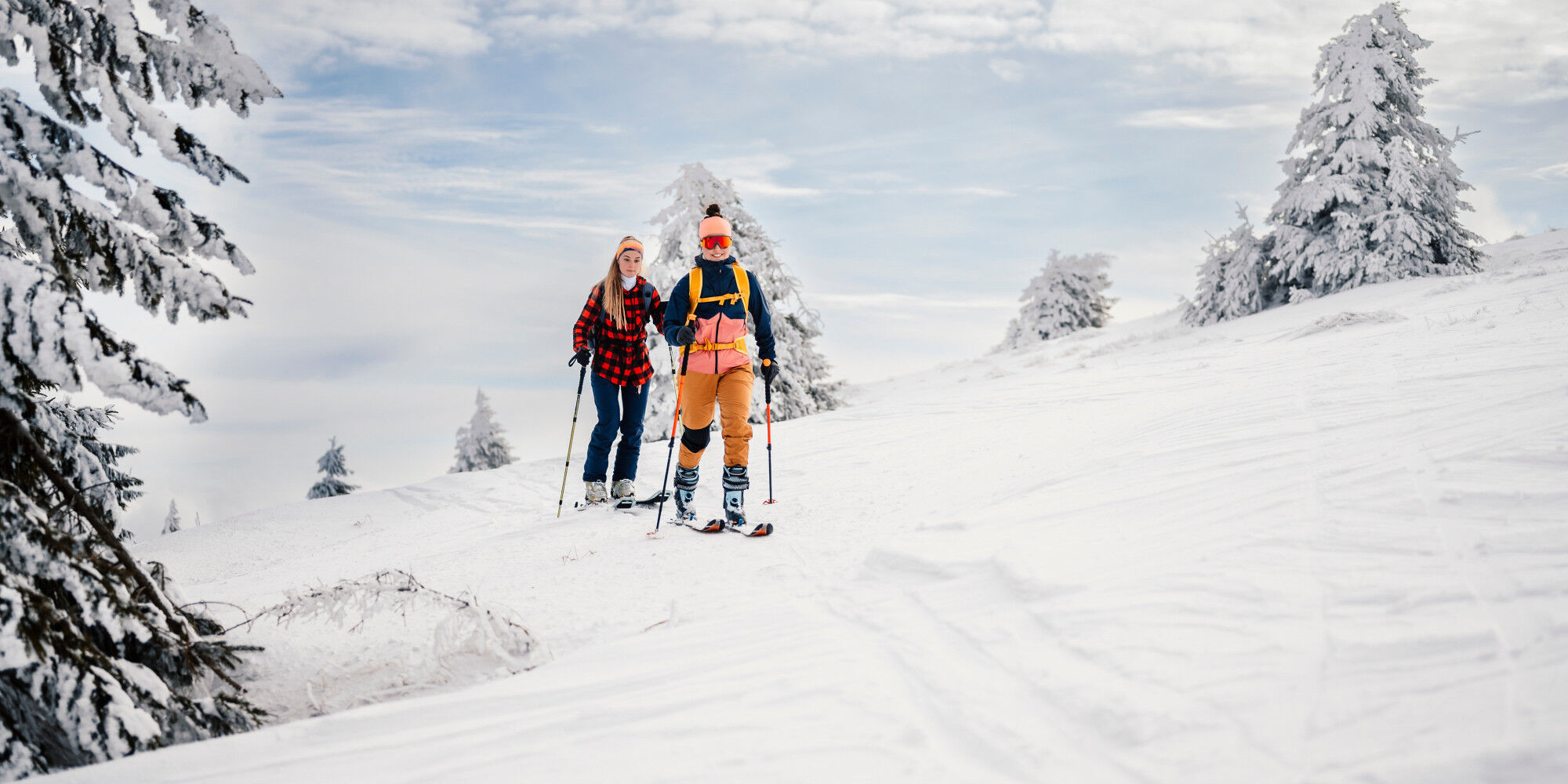 AdobeStock_484247955 (1)
				        