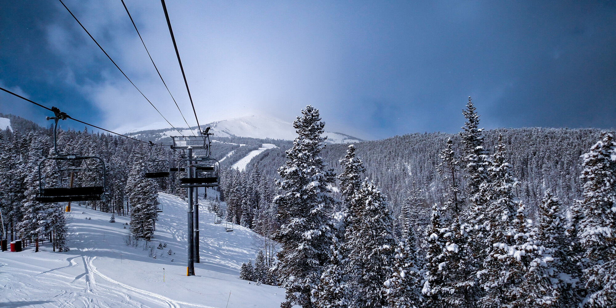 snow-covered forest with cable car and the slopes in the distance
				        