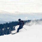 skier on a forest track
			                
