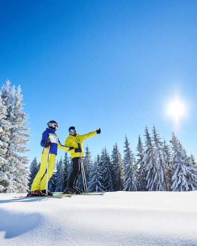 two skiers in the forest